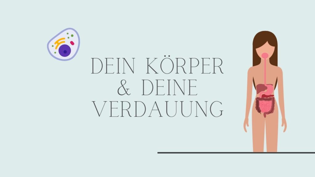 Happy Darm Pre Kurs
